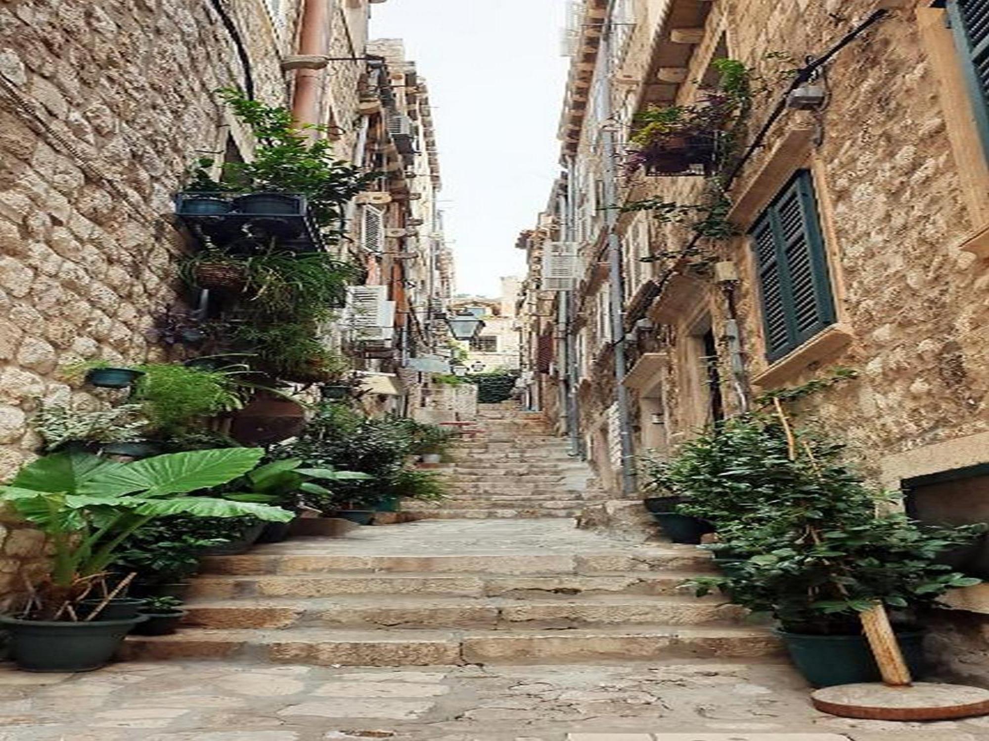 Pk Apartments - Dubrovnik Zimmer foto